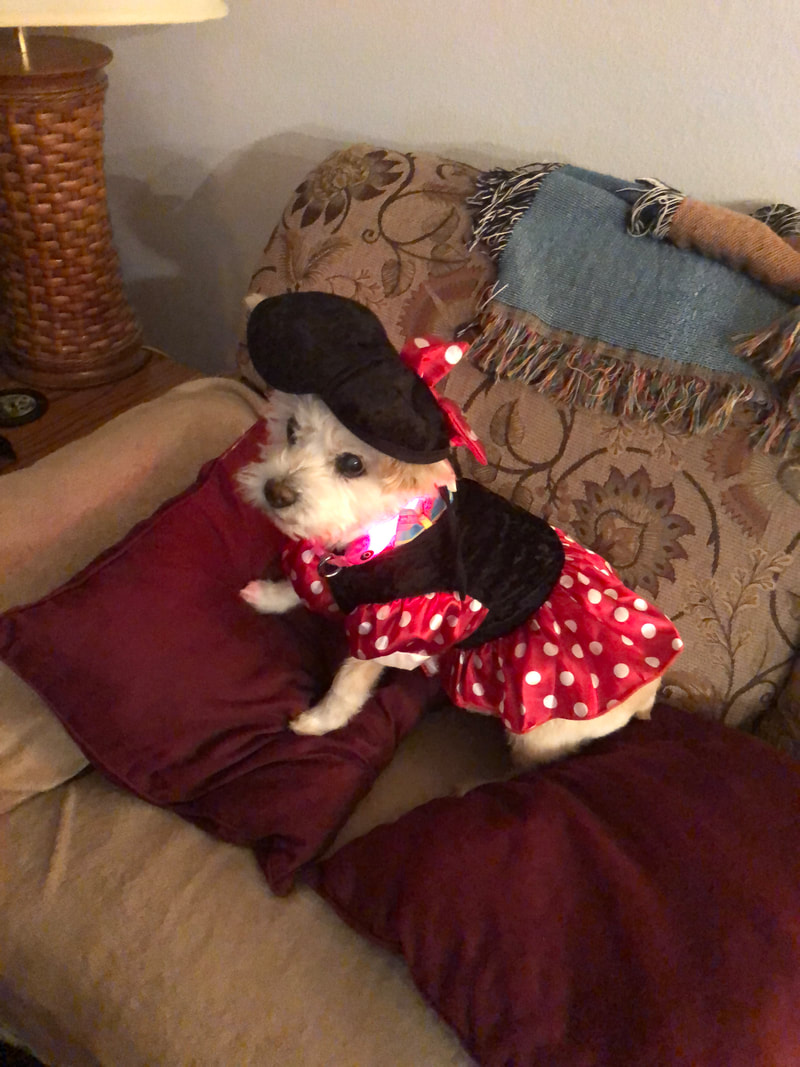 Ginger is dressed up as Minnie Mouse