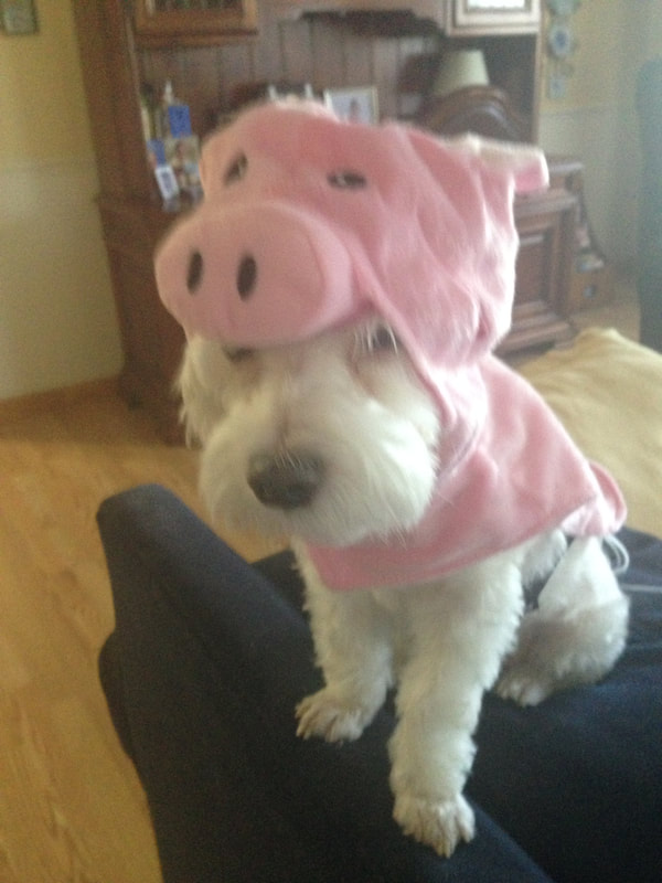 Taz is dressed up like a cute little piggy.