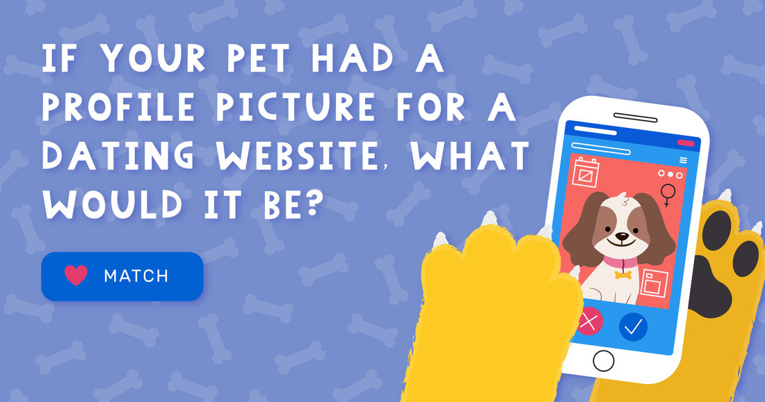 Enter the dog dating picture today. You could win a free grooming prize!