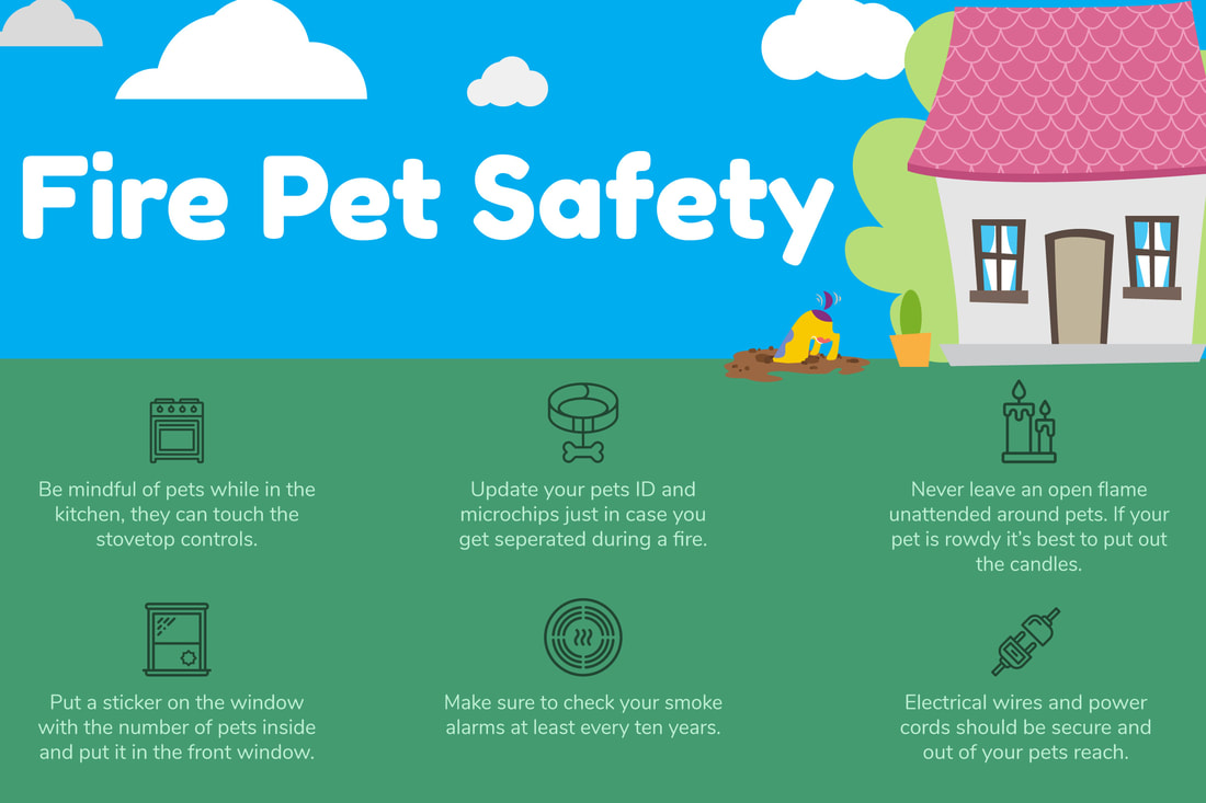 Learn more about pet fire safety.
