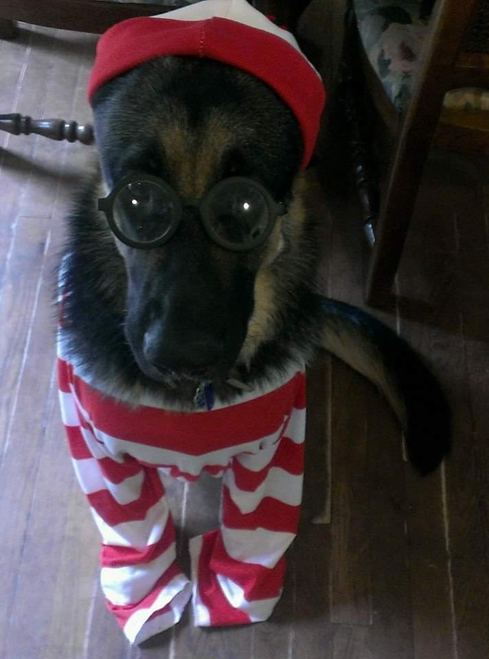 Memphis as Waldo